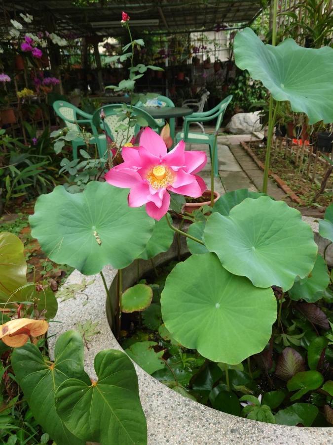 Garden Hostel Minxiong Luaran gambar