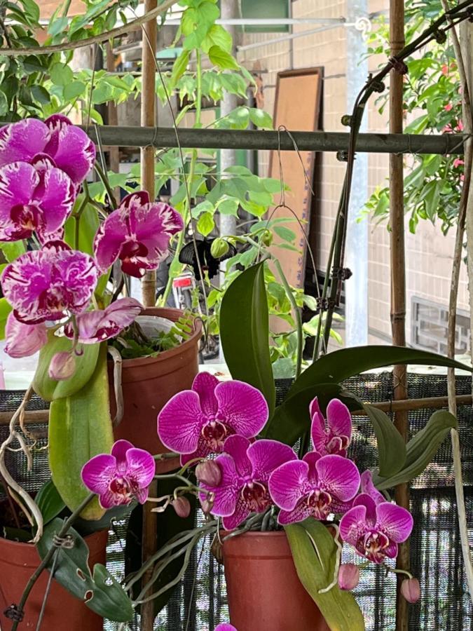 Garden Hostel Minxiong Luaran gambar