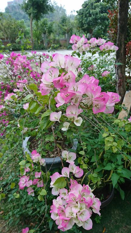 Garden Hostel Minxiong Luaran gambar