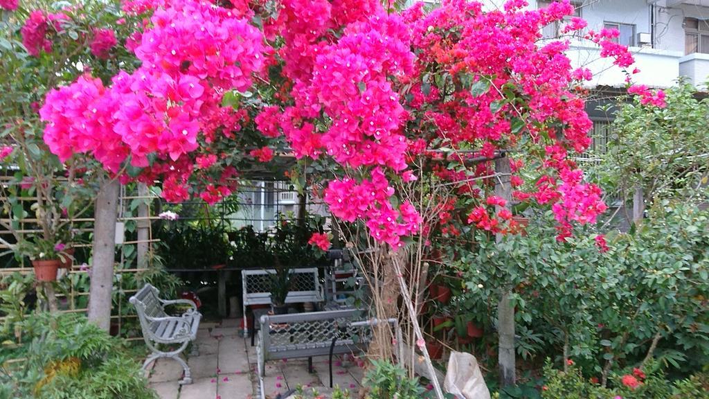 Garden Hostel Minxiong Luaran gambar