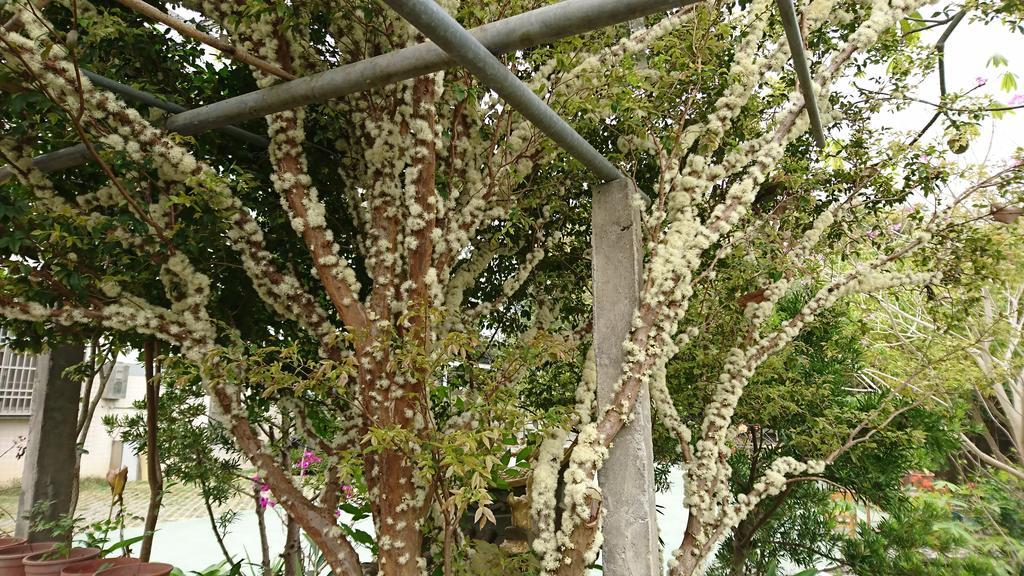 Garden Hostel Minxiong Luaran gambar