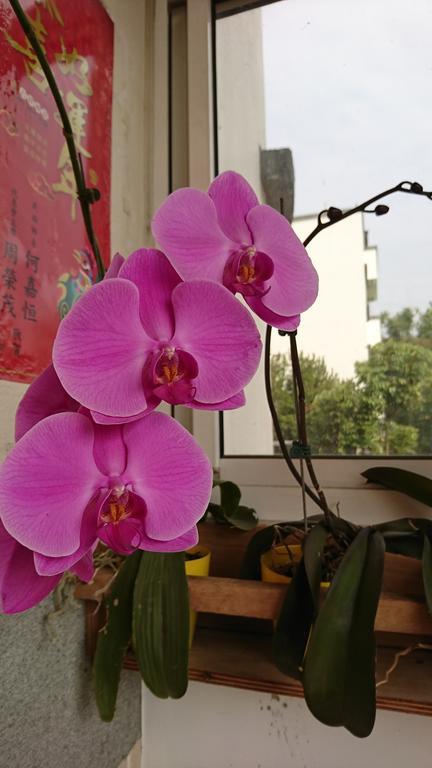 Garden Hostel Minxiong Luaran gambar